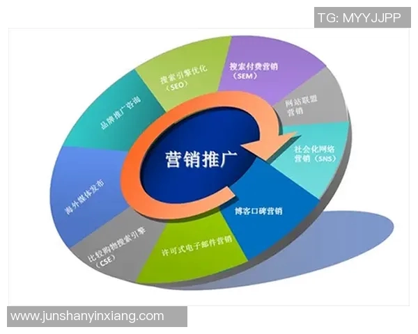 深度分析深圳篮球队的运营策略与市场推广模式探讨