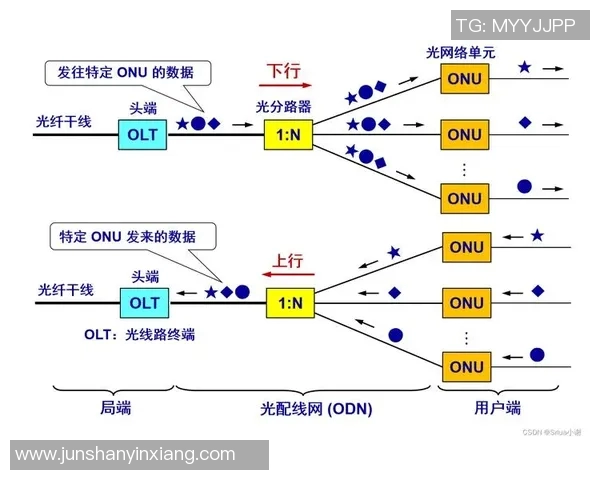 赛后复盘分析：北京羽毛球队与深圳羽毛球队技术对抗全景解析