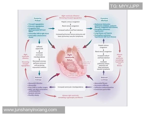 南京排球队技术解析：从基础训练到战术运用的全面探讨