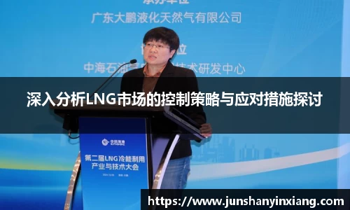 深入分析LNG市场的控制策略与应对措施探讨