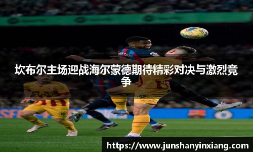 DB旗舰首页
