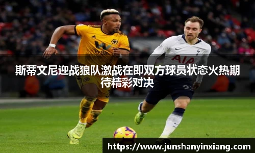 斯蒂文尼迎战狼队激战在即双方球员状态火热期待精彩对决