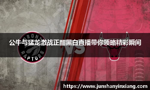 公牛与猛龙激战正酣黑白直播带你领略精彩瞬间
