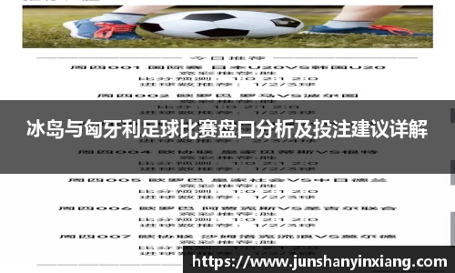 冰岛与匈牙利足球比赛盘口分析及投注建议详解